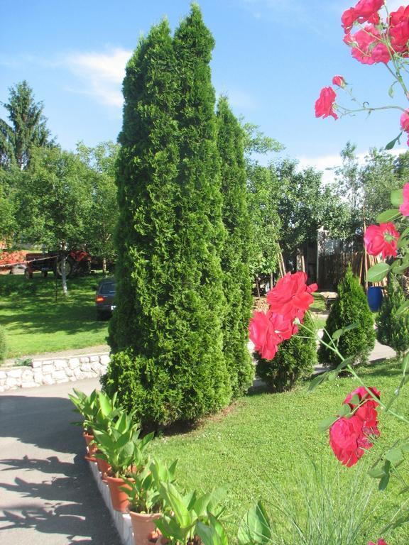 Apartment Ilija Rakovica Rom bilde
